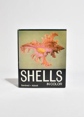 Shells in Color