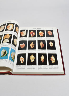 Compendium of Seashells