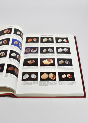 Compendium of Seashells