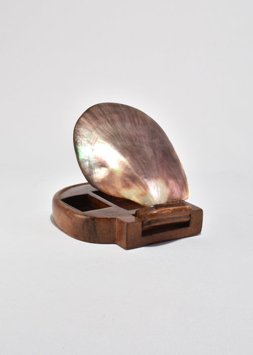 Shell Lidded Box