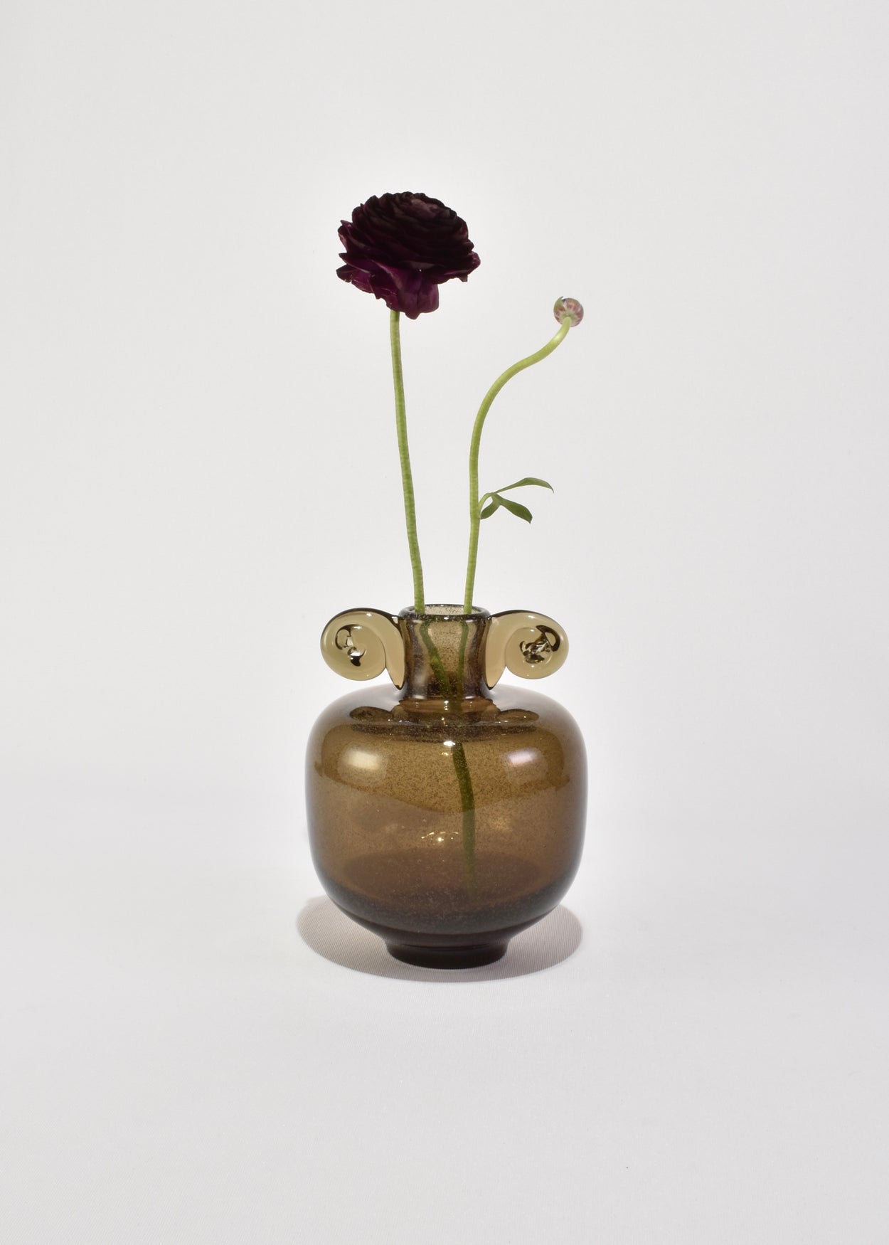 Glass Amphora Vase