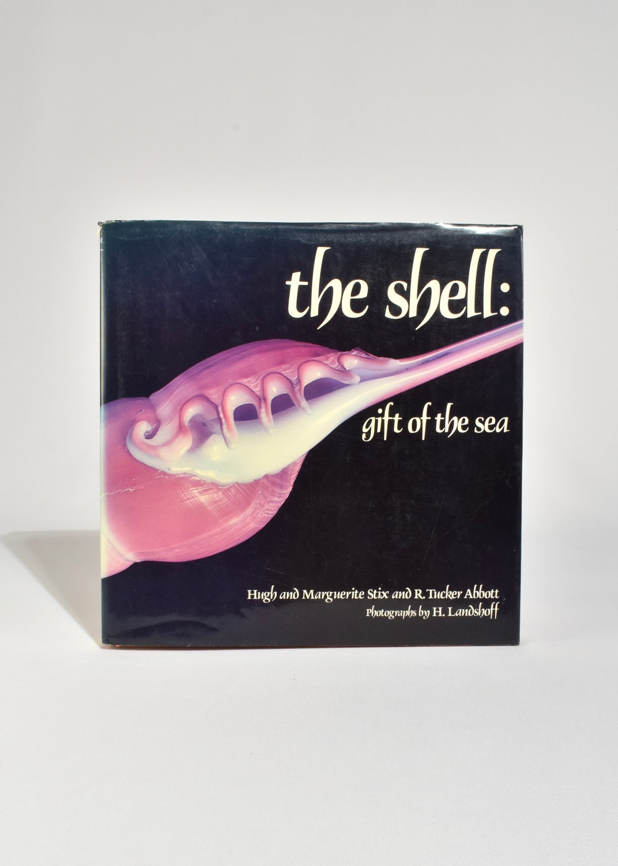 The Shell: Gift of the Sea