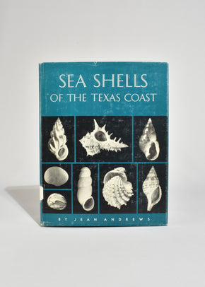 Sea Shells of the Texas Coast