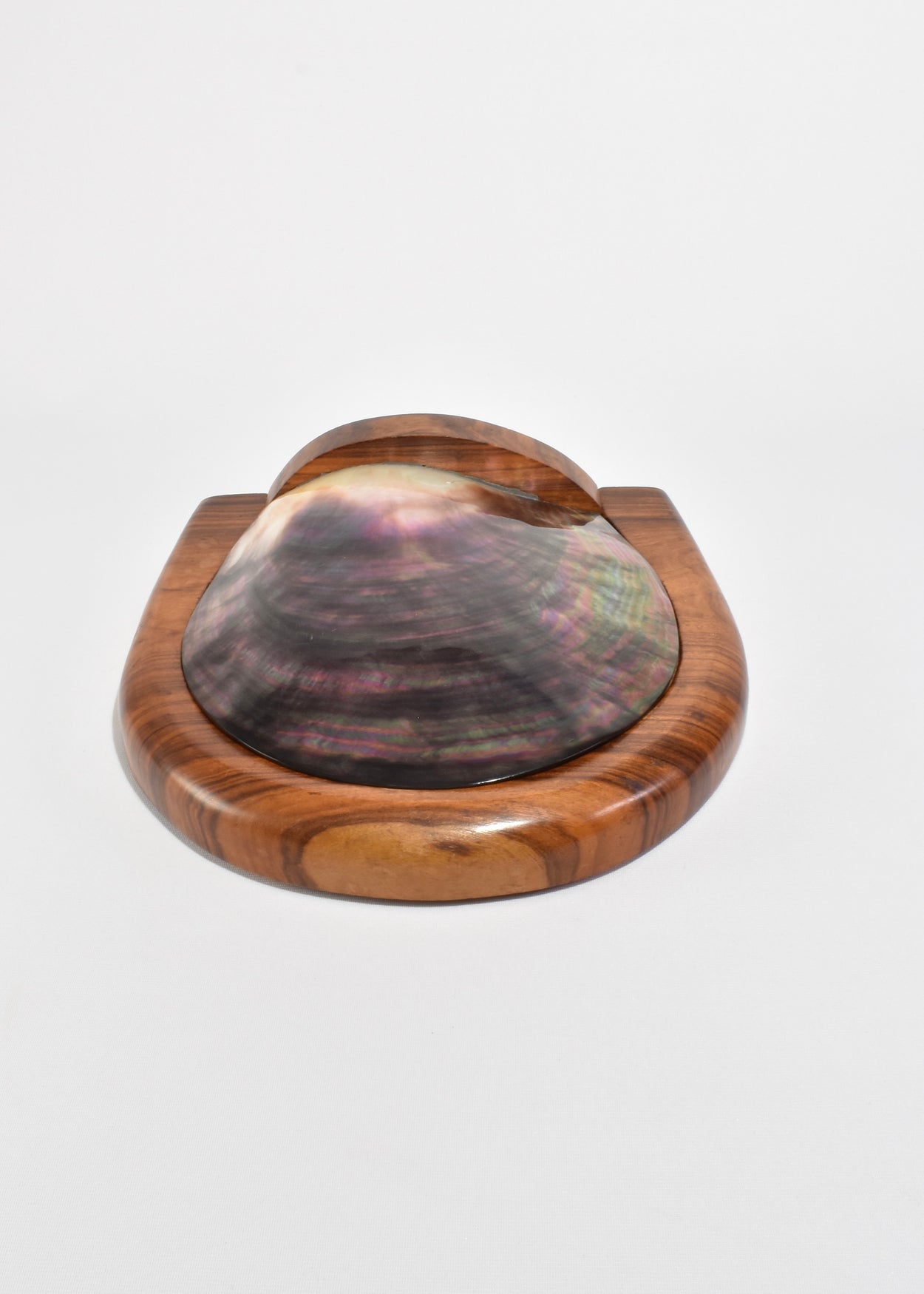 Shell Lidded Box