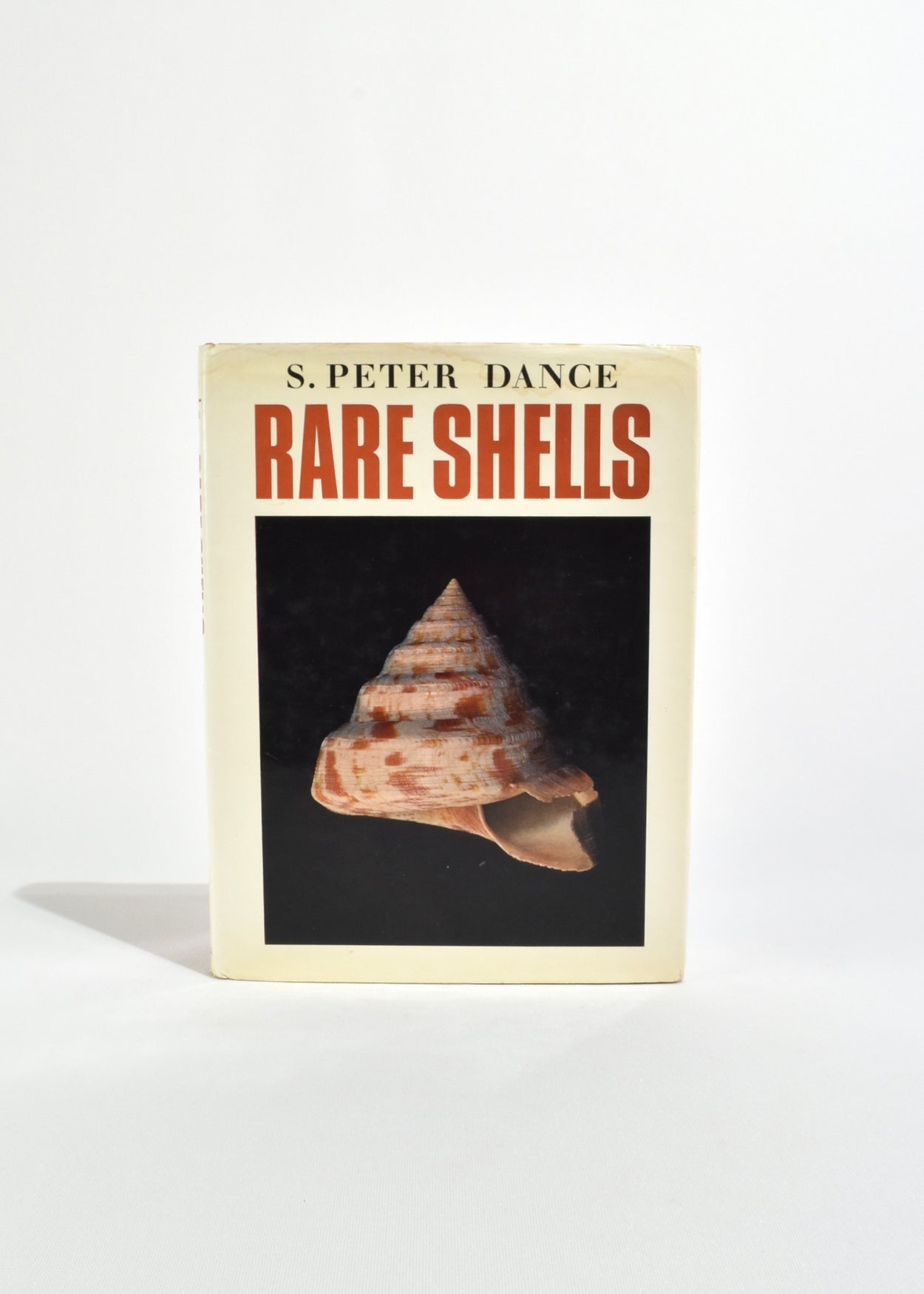 Rare Shells