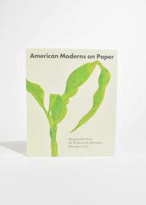 American Moderns on Paper