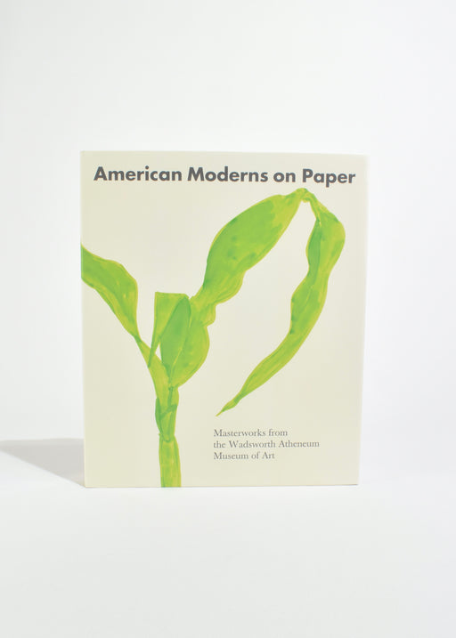 American Moderns on Paper