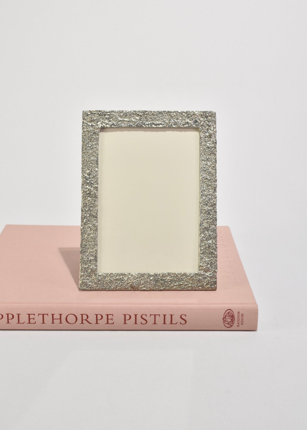 Textured Pewter Frame