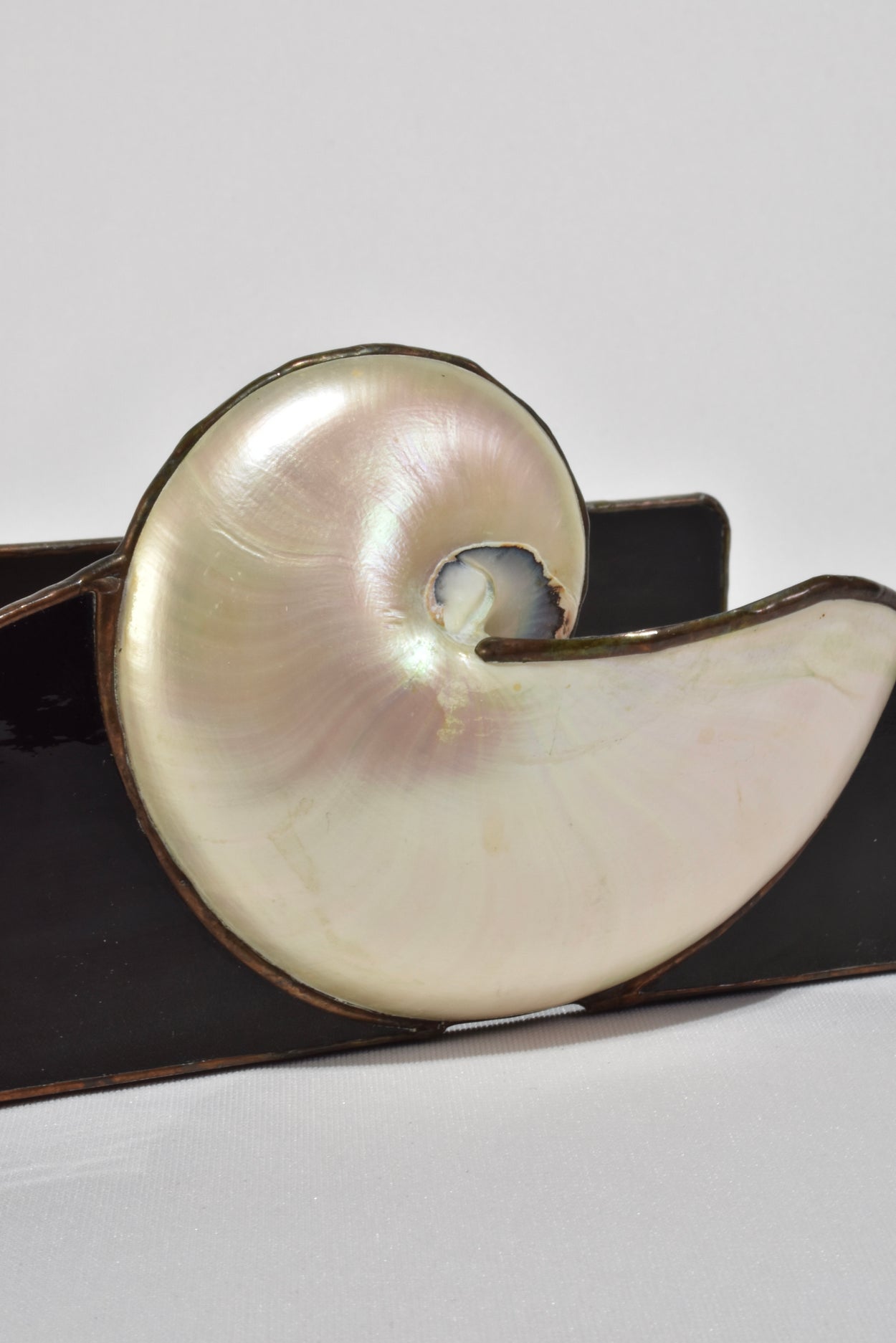 Nautilus Shell Letter Tray