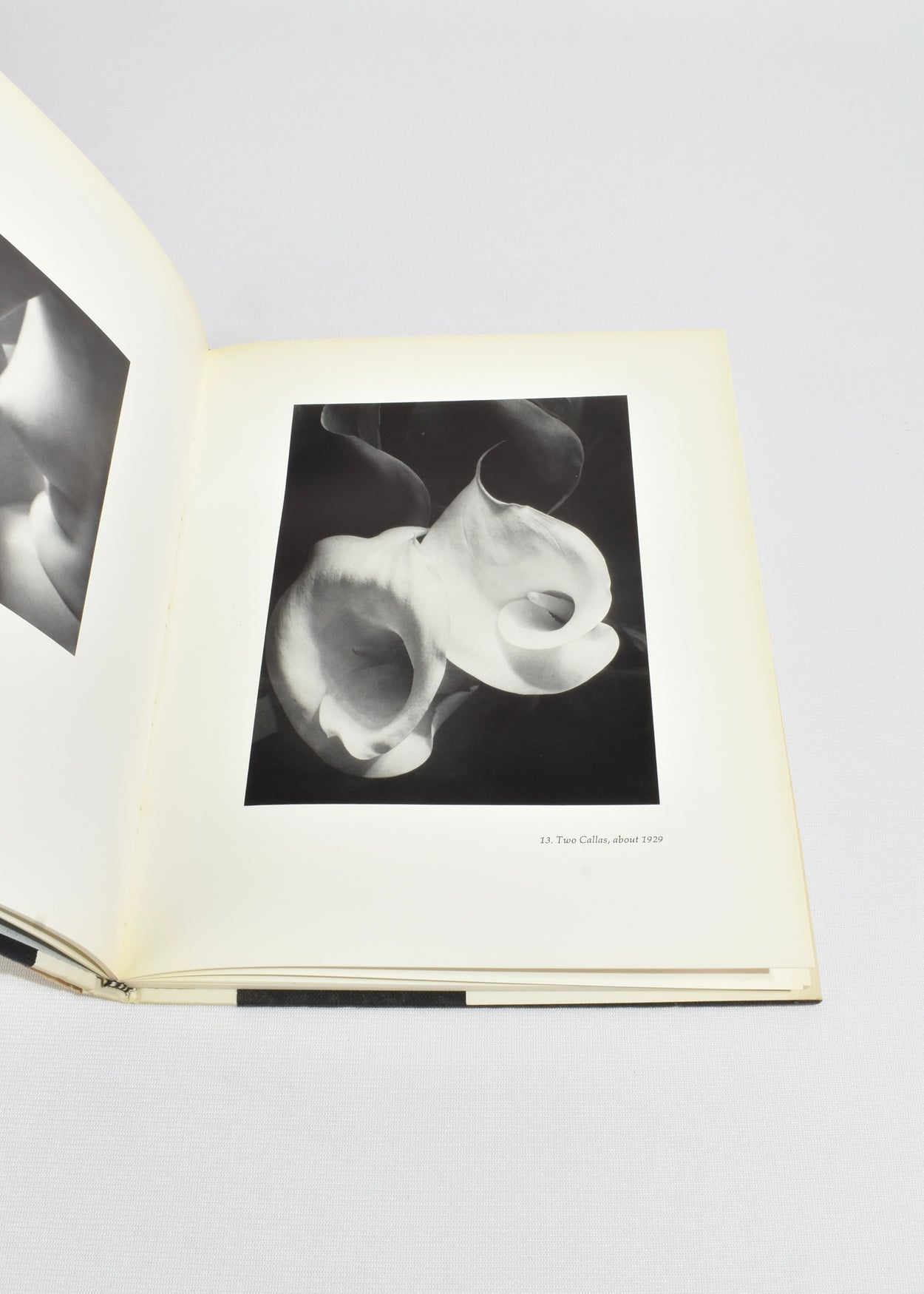 Imogen Cunningham: Photographs