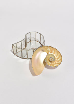 Shell Glass box