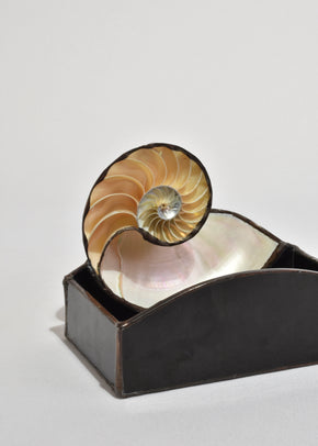 Nautilus Shell Tray