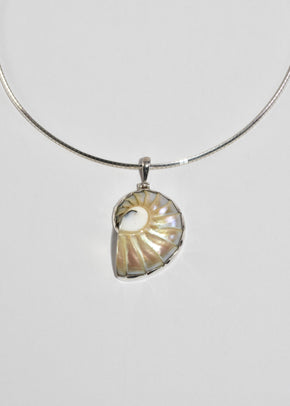 Shell Collar Necklace