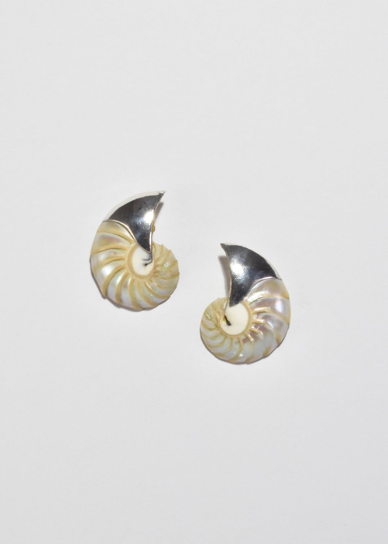 Nautilus Shell Earrings