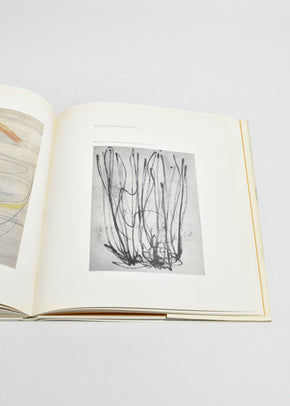 Barbara Hepworth: Drawings from a Sculptor's Landscape