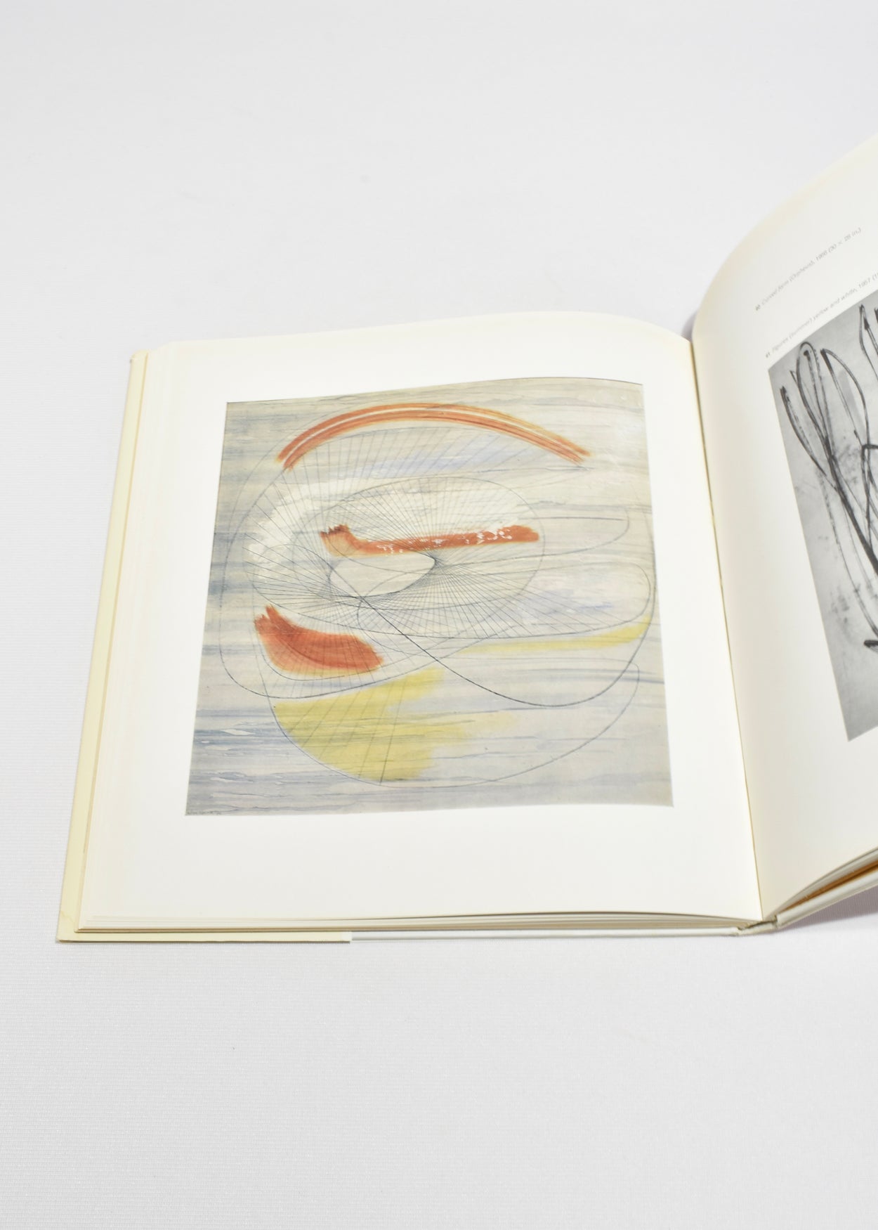 Barbara Hepworth: Drawings from a Sculptor's Landscape