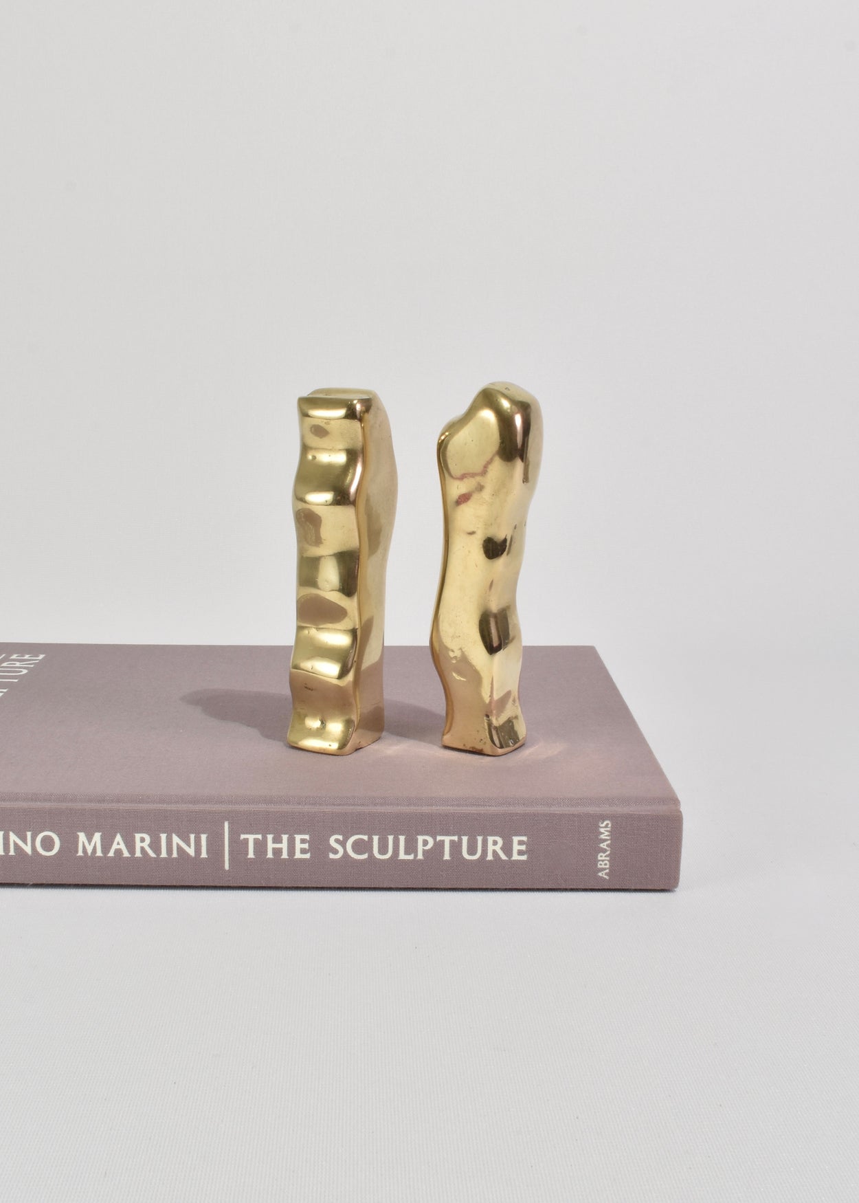 Biomorphic Brass Sculpture Set