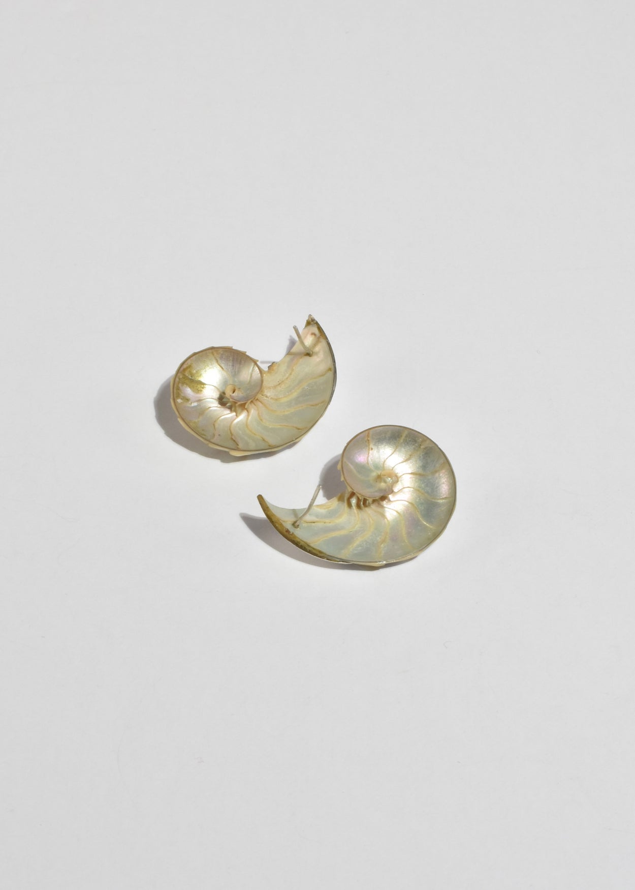 Nautilus Shell Earrings