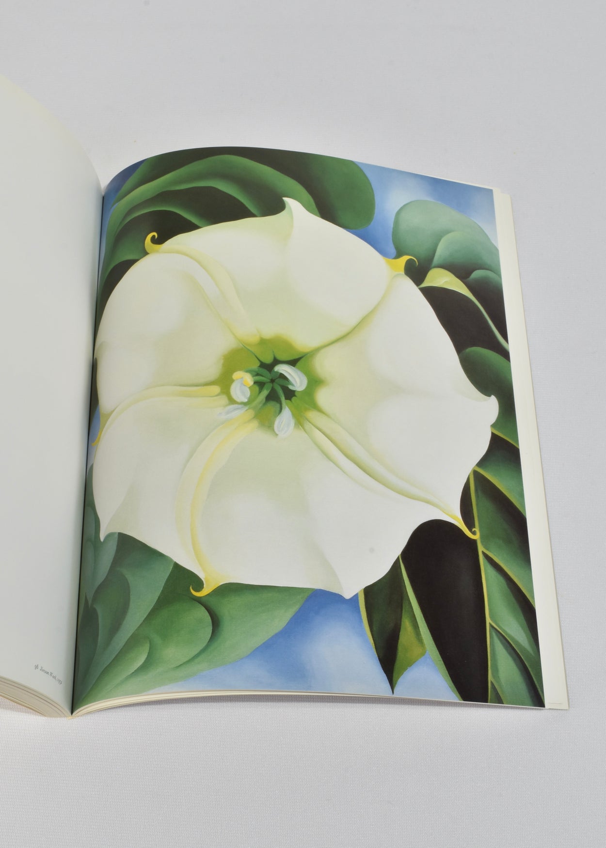 Georgia O'Keeffe: One Hundred Flowers